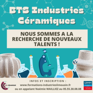 Affiche BTS IC (2)